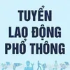 vieclamlaodongphothongbn