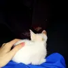 minhtaam_m5