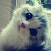 url.w1nddda_