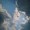 tiktok2013y