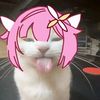 mscrazydawg_