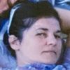 kivipictor11