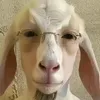 userzsv7wxa327