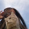 melak__ll