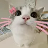 mayomy_onlybsff
