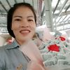maiphan6043