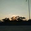 yahya_omlet