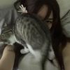 aboutlii_