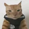 ky_ky485