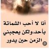 user19675302