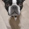 rfcbarry