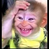 bonmuachi