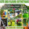 www.citeverte1