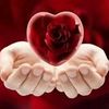 user95028619170324