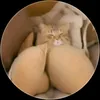 quemiraseteperdioalgo