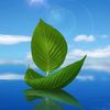 reactions__ryaan_39
