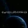 to.attest244