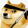 ninjadoge05
