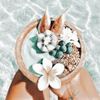 _.aloha..preppy._