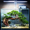 aquascape420
