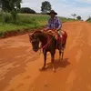 paulosrgiosteffan