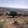 danoude