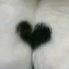fiufiu_ruby