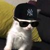 free_mc7
