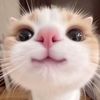 quynhuuu