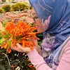 sue_ali812