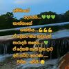 user8769284012283