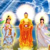 Phật Hoạ Thanh Tâm