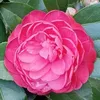 user7n5lzlusny
