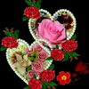fathima.ammu.6