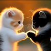 salin.ai.htin