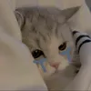 celapcelupz