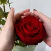 mmariacarme