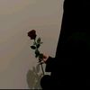lady.rose162