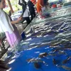 atalatananaya