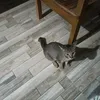 gabby098767