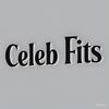 celeb_fits
