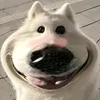 kubohanaco