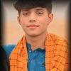 haseebmalik3493