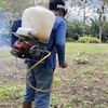 priyanto2509