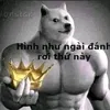 xinnhecaitop9