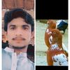 malikmadni2252