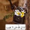 dhn.3o0od