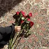 zaho_ory5