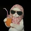 abeer.gamal17