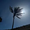 einfach_ich0184